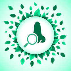 چگونگی-یافتن-بهترین-جراح-بینی